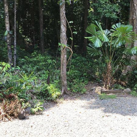 Forest Views Diwan 외부 사진