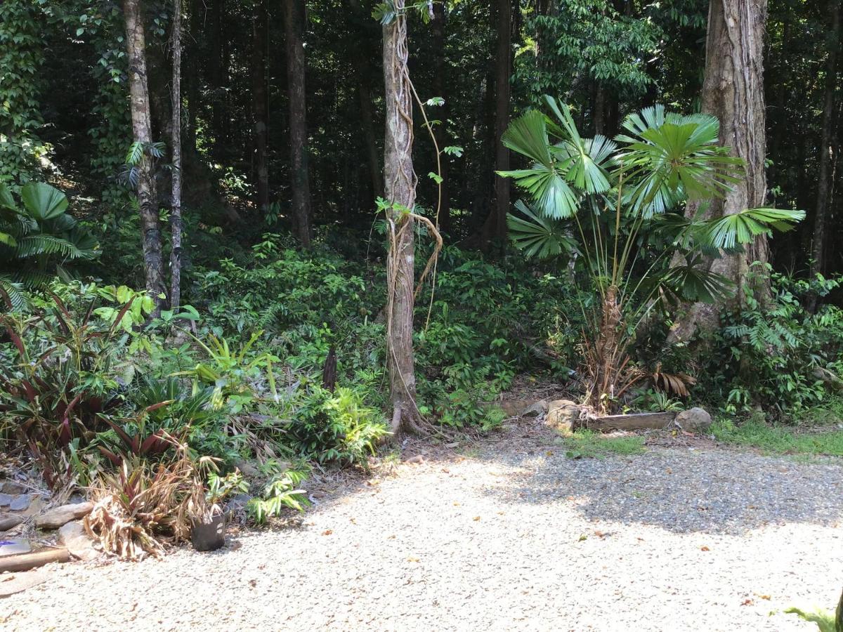 Forest Views Diwan 외부 사진